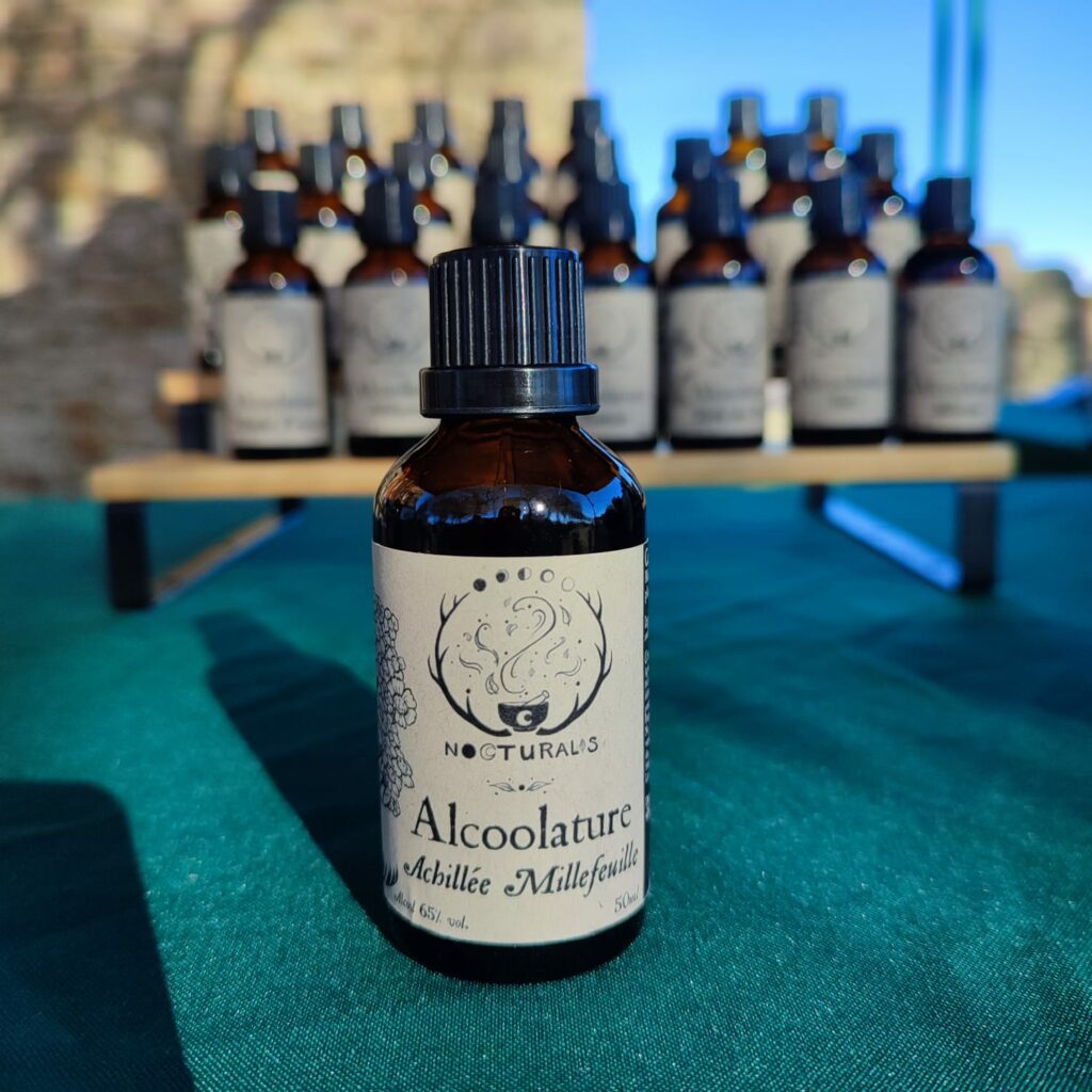 Alcoolature achillée millefeuille
