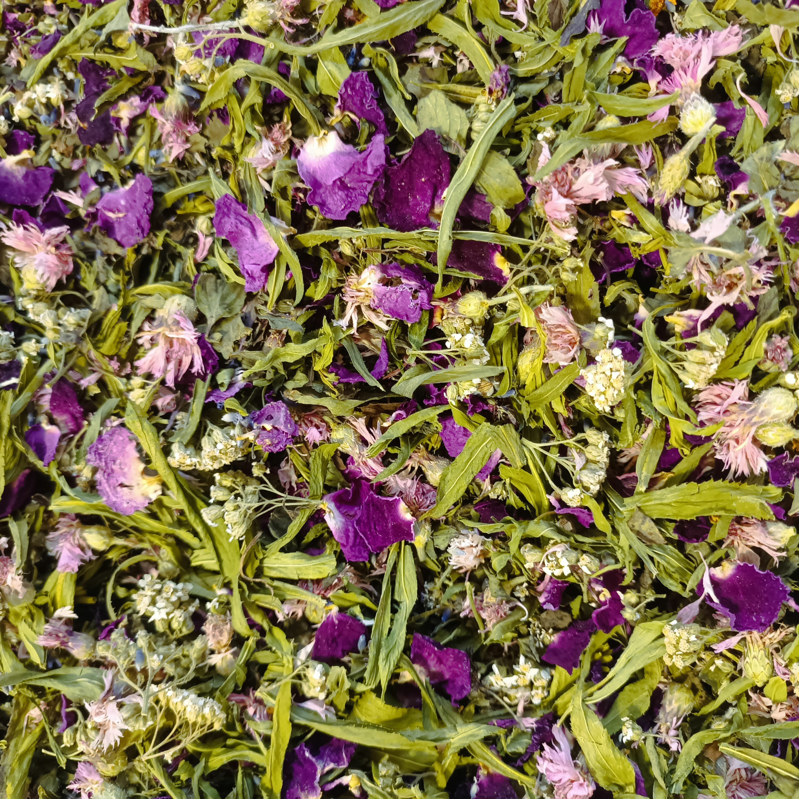 Tisane Esprit de l'Été – Image 2